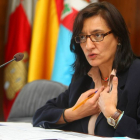 La concejala de Hacienda, Amparo Vidal, aseguró este viernes que su equipo de Gobierno “no va a efectuar de manera voluntaria” la transferencia de los tres millones de euros a la Fundación del Deporte en compensación por su déficit en la encomienda de ges-Ical