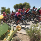 El pelotón, durante la quinta etapa de la Vuelta.-EFE / JAVIER LIZON