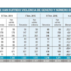 Mujeres que han sufrido violencia de género y número de denuncias.-El Mundo de Castilla y León