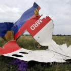 Restos del avión de Malaysia Airlines-/ AFP / DOMINIQUE FAGET