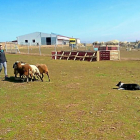 Marina Ten en una jornada de adiestramiento en el campo.-E.M.