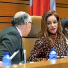 Ramiro Ruiz Medrano y Silvia Clemente, en el último pleno presidido por la dirigente del PP esta semana.-M. Á. SANTOS