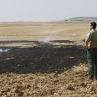 Un agente medioambiental de la Junta de Castilla y León supervisa una quema de rastrojos autorizada en la localidad burgalesa de Castrillo Mota de Judíos.-ECB