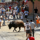 Encierro del toro del Verdejo de Rueda.-PABLO REQUEJO