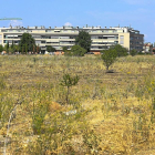 Terrenos que serán urbanizados próximos  a la Ronda Exterior, con las últimas construcciones de El Peral al fondo.-J.M. LOSTAU