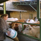 Lourdes Contreras con sus animales en su explotación de Navabuena, un pago de Valladolid.-EM