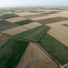 Explotaciones agrarias perfectamente delimitadas en la zona de Tierra de Campos ubicada en la provincia de Palencia.-ICAL