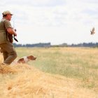 Un cazador y su perro localizan una codorniz en la localidad vallisoletana de Velliza.-ICAL