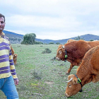 Ruben Blanco, abulense de familia de ganaderos y responsable de Digitanimal, con sus vacas monitorizadas en su explotación de Cabañas.-E. M.