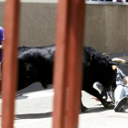 Uno de los toros embiste a un joven en el cuarto encierro por las calles de La Flecha.-TEO SANCHO / PHOTOGENIC