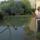 Pescador de cangrejos en el río Abádenes, en Palencia.-ICAL