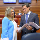 Pilar del Olmo y Raúl de la Hoz, ayer en el Pleno de las Cortes antes de empezar el debate de las enmiendas-ICAL