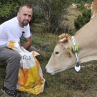 Gonzalo del Barrio, con una de las vacas que llevan el collar GPS para el proyecto de Gepisa.-VALENTÍN GUISADE