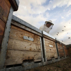 Francisco Javier Fernández, apicultor trashumante y responsable del sector de COAG, con sus colmenas.-ENRIQUE CARRASCAL