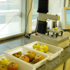 Análisis de dureza de manzanas en los laboratorios del Itacyl.-ECB