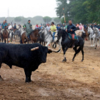 'Pelado' durante el Toro de la Peña-