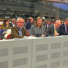 La consejera Pilar del Olmo, en un momento de su intervención en el grupo de trabajo de la Unión Europea.-E. M.