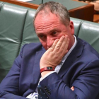 El viceprimer ministro australiano, Barnaby Joyce, en el parlamento.-REUTERS / MICK TSIKAS