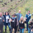 El camino para la aprobación de la DOP Vinos de Cebreros (BOE del 17 de mayo de 2017) comenzó con la Asociación Vinos de Cebreros , formada en 2014 por un  grupo de viticultores y bodegueros. Recuperó y trabajó 2.500 hectáreas de viña, de 35 municipios, cultivada a entre 700 y 1.000 metros de altitud. La variedad tinta garanacha ocupa el 70% del viñedo.