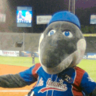 Mascota