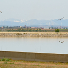 Embalse de Villalón, de 117 hectáreas.