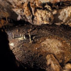 Imagen de archivo de la cueva de la Garma en Soba. WEB TURISMO CANTABRIA