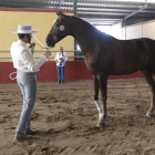 Concurso de cría y selección de la raza hispano-árabe de caballos en Valdestillas (Valladolid).
