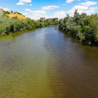 Las algas que oscurecen las aguas del Pisuerga