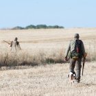 Comienza la media veda de caza en Castilla y León, con buenas expectativas de capturas.