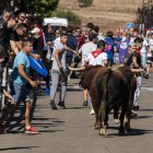 Cuarto encierro urbano en Laguna de Duero