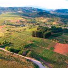 Paisaje de la Ruta del Vino El Bierzo