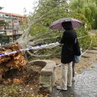 Árbol caído en el acceso al parque Patricia en Pajarillos