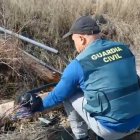 Un agente de la Guardia Civil inspecciona el cableado dañado tras el robo.