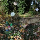 El bosque encantado de Valoria del Alcor (Palencia)