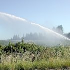 Un aspersor riega un campo de cultivo.