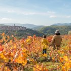 Una escapada perfecta para desconectar, explorar y saborear lo mejor de España