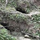 Huras de conejos en el término municipal de Villaldemiro (Burgos)