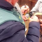 La Guardia Civil con uno de los gallos de pelea y su dueño, investigado por maltrato.