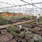 Vivero Forestal Central y Centro de Recursos Ambientales de la Junta en Valladolid