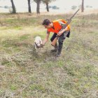 Un joven aficionado de Villanubla se cobra una perdiz.