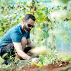 Un agricultor inspecciona el estado de su cultivo en una explotación hortícola.