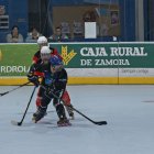 Partido de las Panteras.