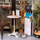 Imagen de un establecimiento