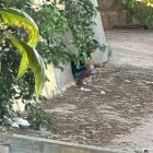 Inmigrante en un espacio público en Medina del Campo