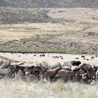 Corral de piedra en la localidad abulense de Hoyos del Espino