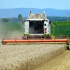 Una cosechadora atraviesa un campo de cereal