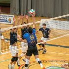 UVa VCV durante un partido la pasada temporada.