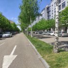 Pinar de Jalón en una imagen de archivo