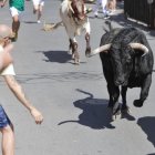 Encierro urbano con los novillos de Martín Lorca.