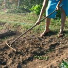 Una mujer trabaja el campo.